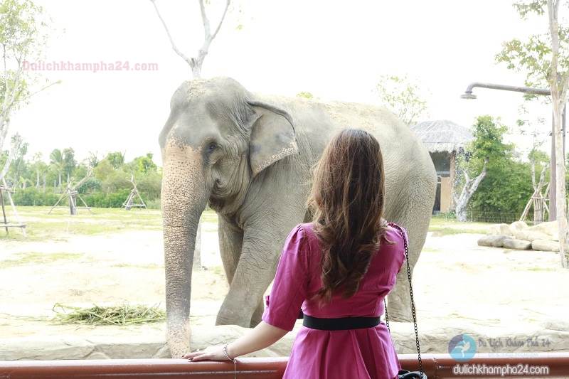 Zoo at Vinpearl Land Nam Hoi An